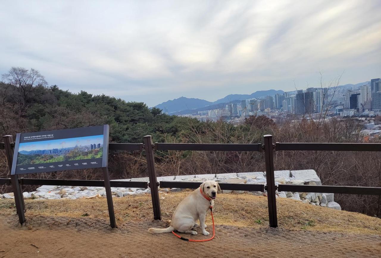 Newly Renovated Spacious 2 Bedroom Unit In Hbc #1 Seoul